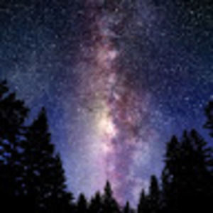 Meet your Posher, Ashlyn